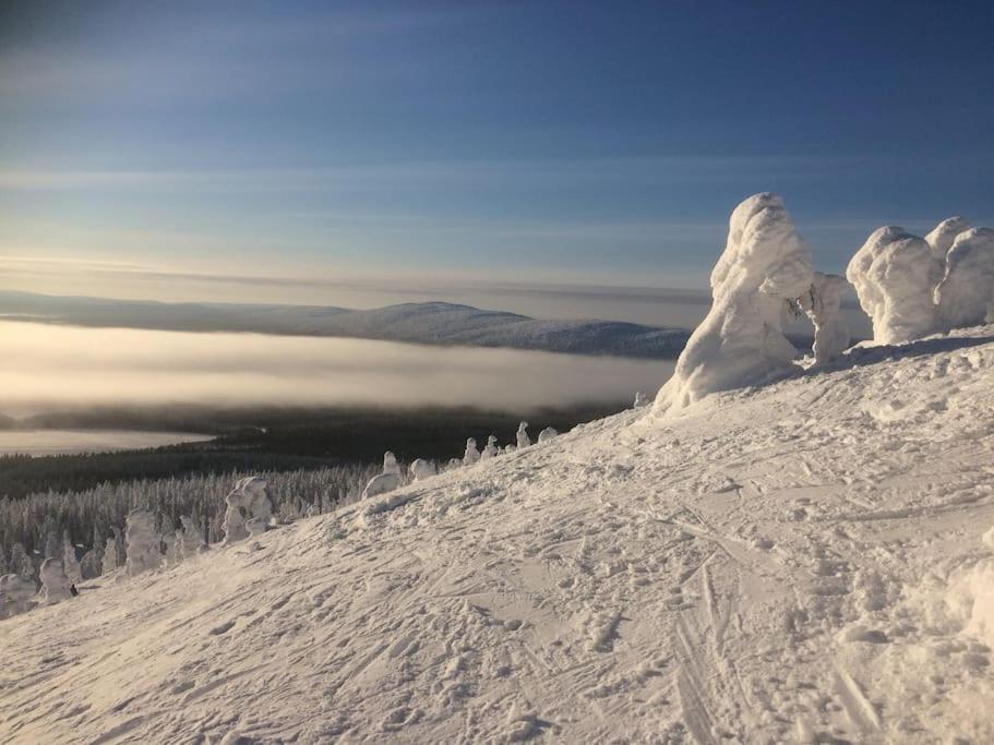 Pikkuriikkinen Yksioe Kaikilla Herkuilla Levin Keskustassa Esterno foto